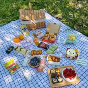 đi picnic cần chuẩn bị những gì